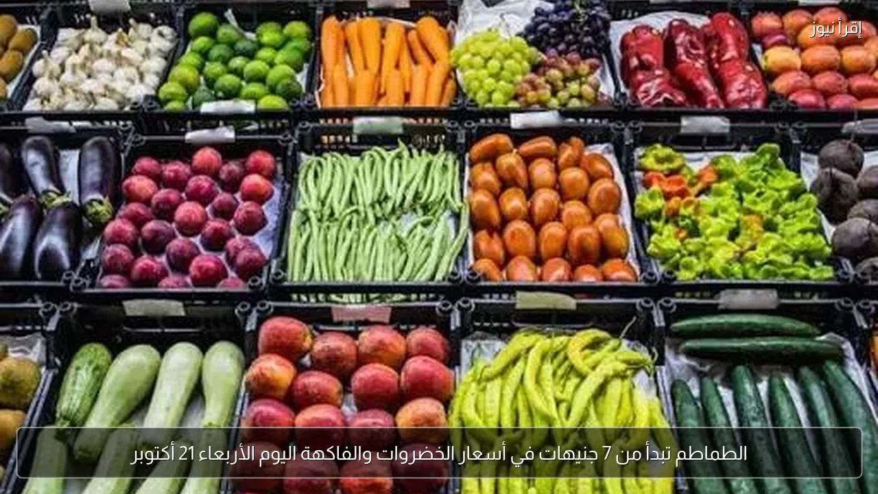 الطماطم تبدأ من 7 جنيهات في أسعار الخضروات والفاكهة اليوم الأربعاء 21 أكتوبر