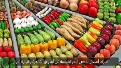 تحرك أسعار الخضروات والفاكهة في أسواق القاهرة والجيزة اليوم