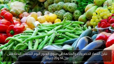 تباين أسعار الخضروات والفاكهة في سوق العبور اليوم السبت.. البطاطس بين 14 و20 جنيهًا