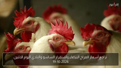 تراجع أسعار الفراخ البيضاء واستقرار الساسو والبلدي اليوم الاثنين 19-10-2026