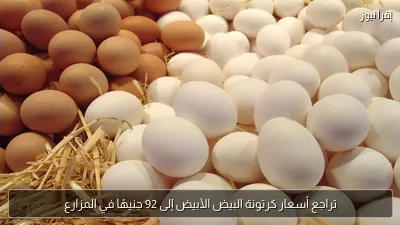تراجع أسعار كرتونة البيض الأبيض إلى 92 جنيهًا في المزارع