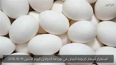استقرار أسعار كرتونة البيض في بورصة الدواجن اليوم الاثنين 19-10-2026