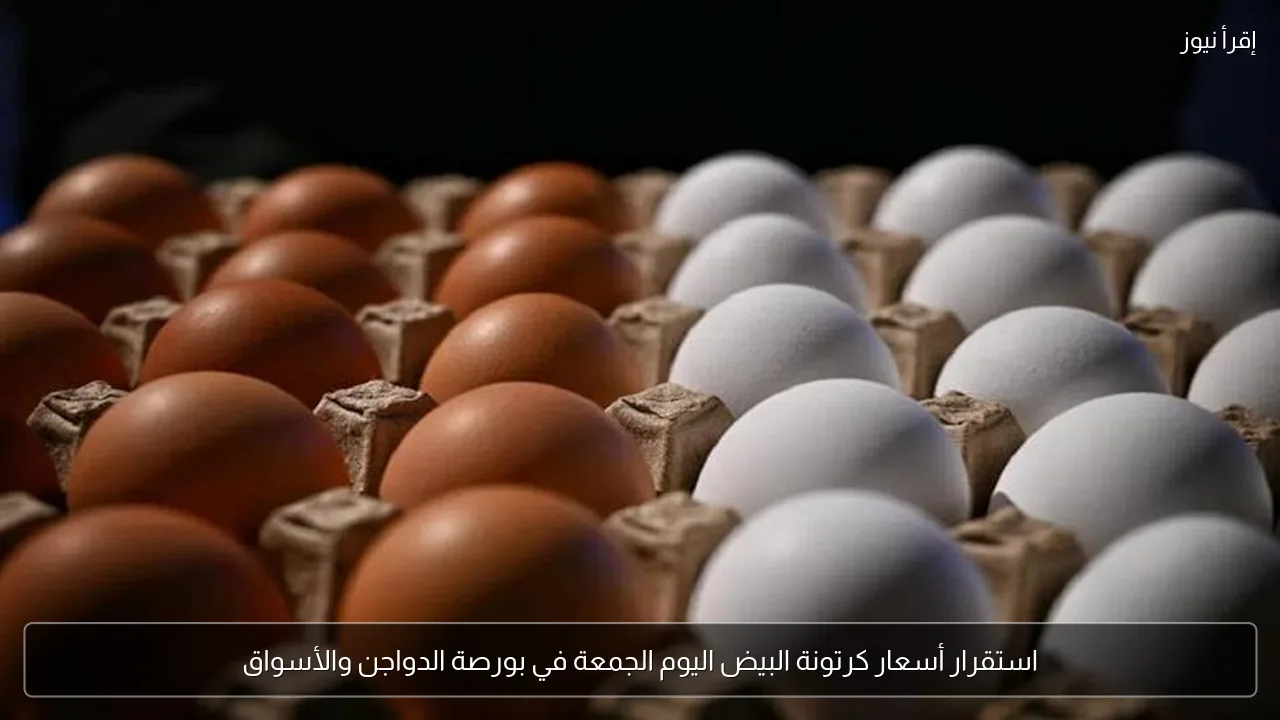 استقرار أسعار كرتونة البيض اليوم الجمعة في بورصة الدواجن والأسواق