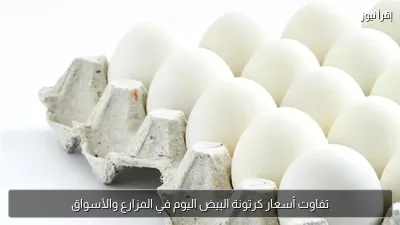 تفاوت أسعار كرتونة البيض اليوم في المزارع والأسواق