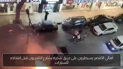أهالي الأقصر يسيطرون على حريق شجرة بشارع التلفزيون قبل امتداده للسيارات