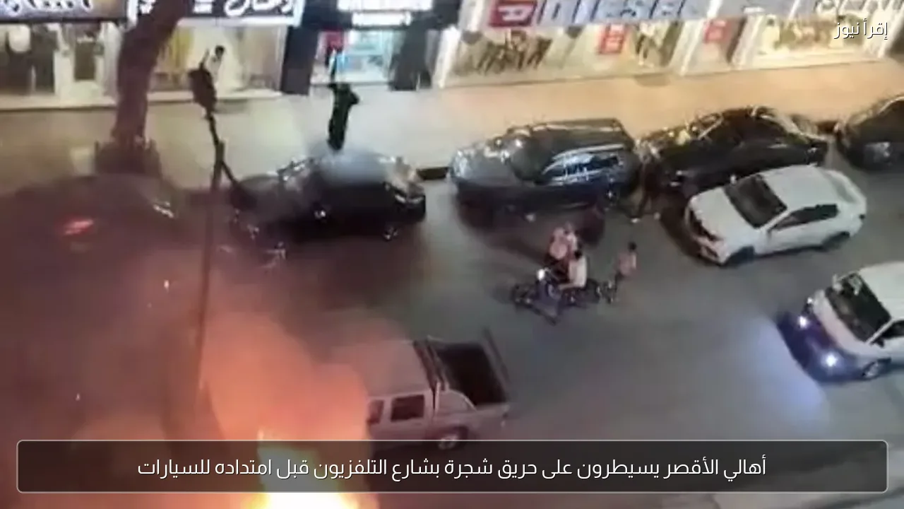 أهالي الأقصر يسيطرون على حريق شجرة بشارع التلفزيون قبل امتداده للسيارات