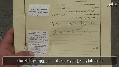 إصابة عامل توصيل في هجوم كلب ضال ببورسعيد أثناء عمله