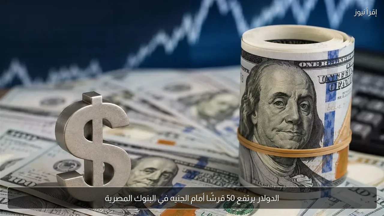 الدولار يرتفع 50 قرشًا أمام الجنيه في البنوك المصرية