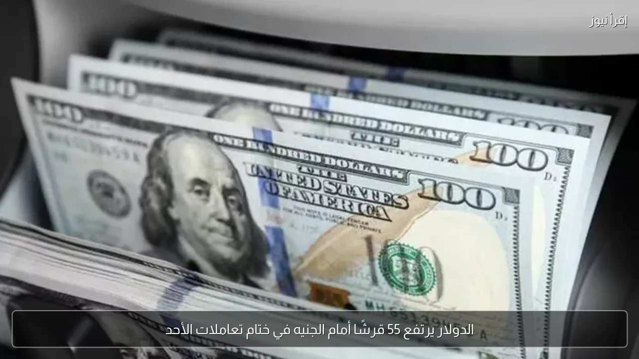 الدولار يرتفع 55 قرشًا أمام الجنيه في ختام تعاملات الأحد
