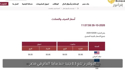 الدولار يرتفع 8.3 جنيه منذ بداية العام في مصر