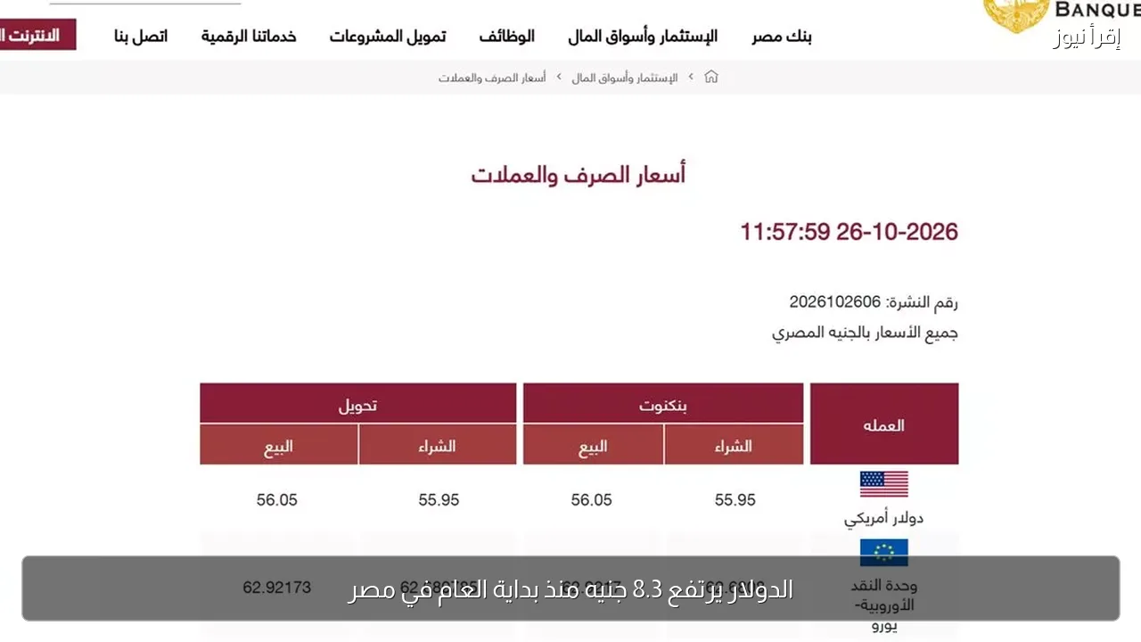 الدولار يرتفع 8.3 جنيه منذ بداية العام في مصر