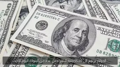 الدولار يرتفع إلى 55.80 جنيه للشراء في عدد من البنوك اليوم الأحد