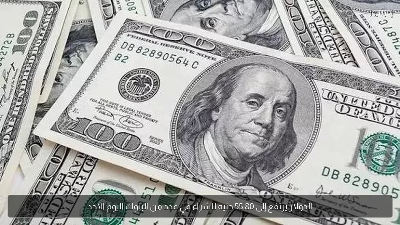 الدولار يرتفع إلى 55.80 جنيه للشراء في عدد من البنوك اليوم الأحد