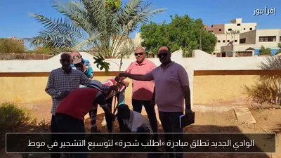 الوادي الجديد تطلق مبادرة «اطلب شجرة» لتوسيع التشجير في موط