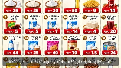 الأقصر تطلق مبادرة لطرح 30 سلعة غذائية واستهلاكية بأسعار مخفضة