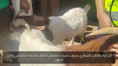الزراعة والطب البيطري بجنوب سيناء تطلقان قافلة علاجية مجانية في وادي الطور