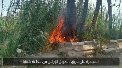 السيطرة على حريق بالطريق الزراعي في مغاغة بالمنيا