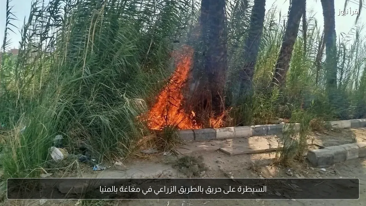 السيطرة على حريق بالطريق الزراعي في مغاغة بالمنيا