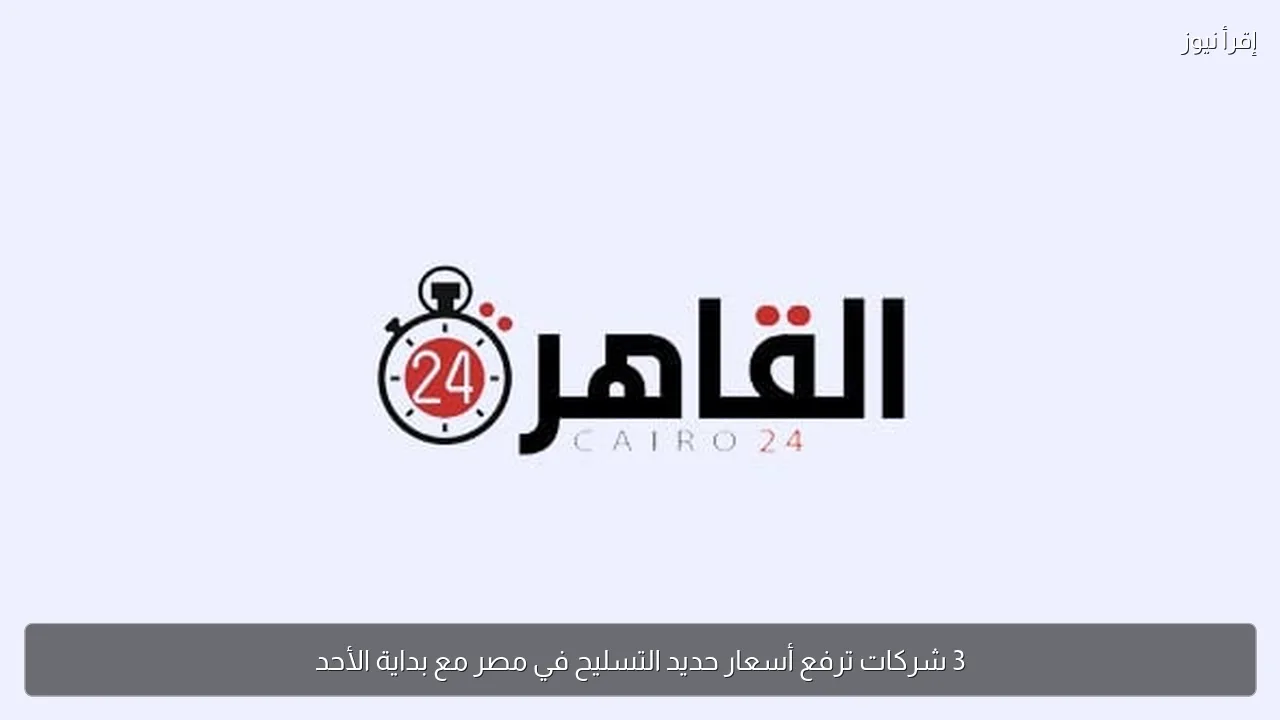 3 شركات ترفع أسعار حديد التسليح في مصر مع بداية الأحد