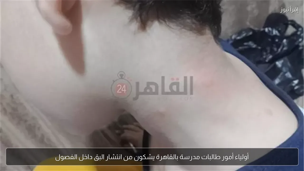 أولياء أمور طالبات مدرسة بالقاهرة يشكون من انتشار البق داخل الفصول