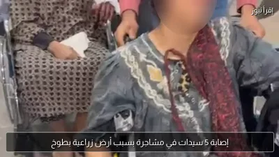 إصابة 5 سيدات في مشاجرة بسبب أرض زراعية بطوخ