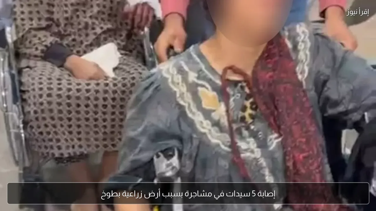 إصابة 5 سيدات في مشاجرة بسبب أرض زراعية بطوخ