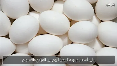 تباين أسعار كرتونة البيض اليوم بين المزارع والأسواق