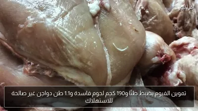 تموين الفيوم يضبط طنًا و190 كجم لحوم فاسدة و1.1 طن دواجن غير صالحة للاستهلاك