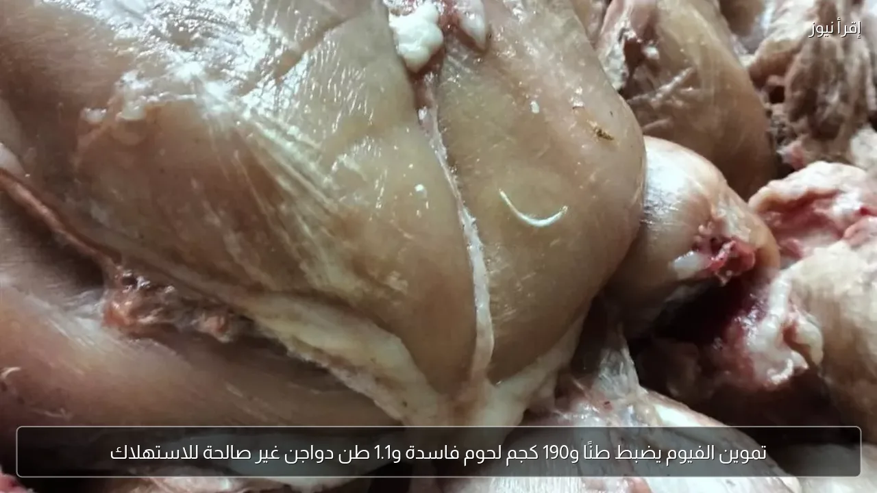 تموين الفيوم يضبط طنًا و190 كجم لحوم فاسدة و1.1 طن دواجن غير صالحة للاستهلاك