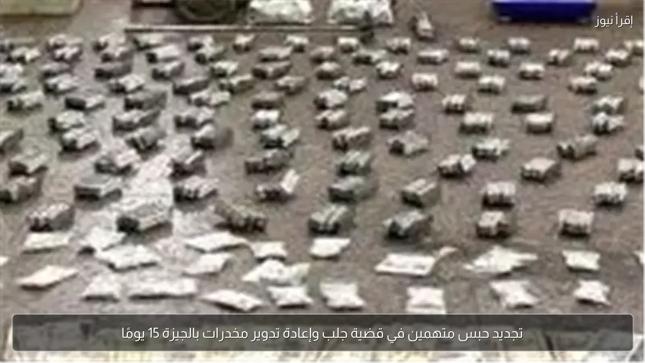 تجديد حبس متهمين في قضية جلب وإعادة تدوير مخدرات بالجيزة 15 يومًا