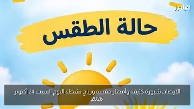 الأرصاد: شبورة كثيفة وأمطار خفيفة ورياح نشطة اليوم السبت 24 أكتوبر 2026
