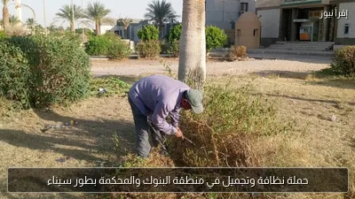 حملة نظافة وتجميل في منطقة البنوك والمحكمة بطور سيناء