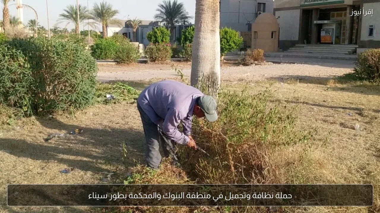 حملة نظافة وتجميل في منطقة البنوك والمحكمة بطور سيناء