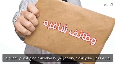 وزارة العمل تعلن 2541 فرصة عمل في 16 محافظة وتوضح الأوراق المطلوبة