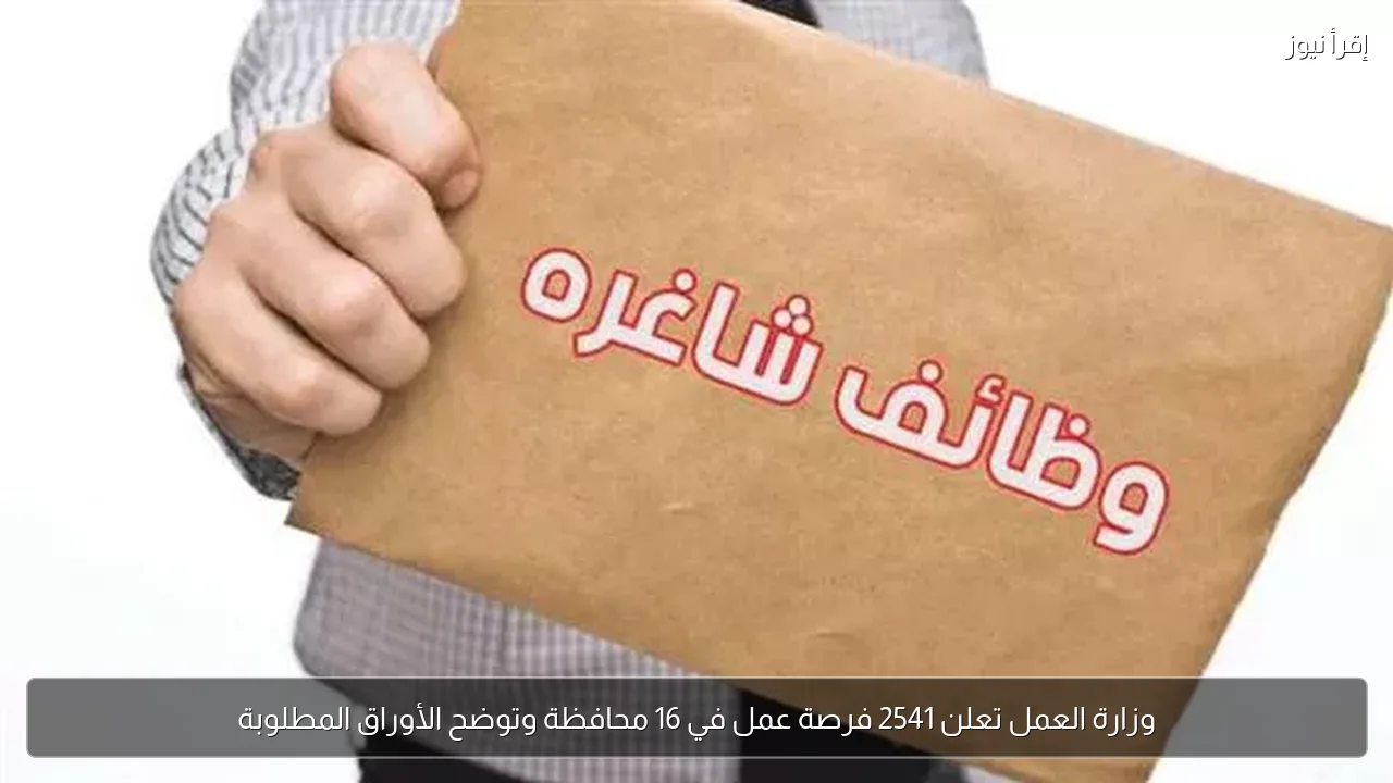 وزارة العمل تعلن 2541 فرصة عمل في 16 محافظة وتوضح الأوراق المطلوبة