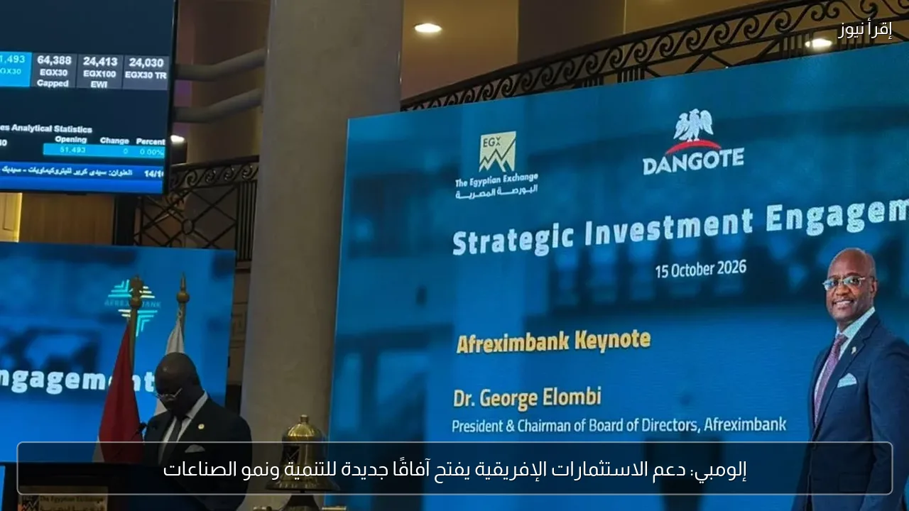 إلومبي: دعم الاستثمارات الإفريقية يفتح آفاقًا جديدة للتنمية ونمو الصناعات
