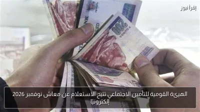 الهيئة القومية للتأمين الاجتماعي تتيح الاستعلام عن معاش نوفمبر 2026 إلكترونيًا