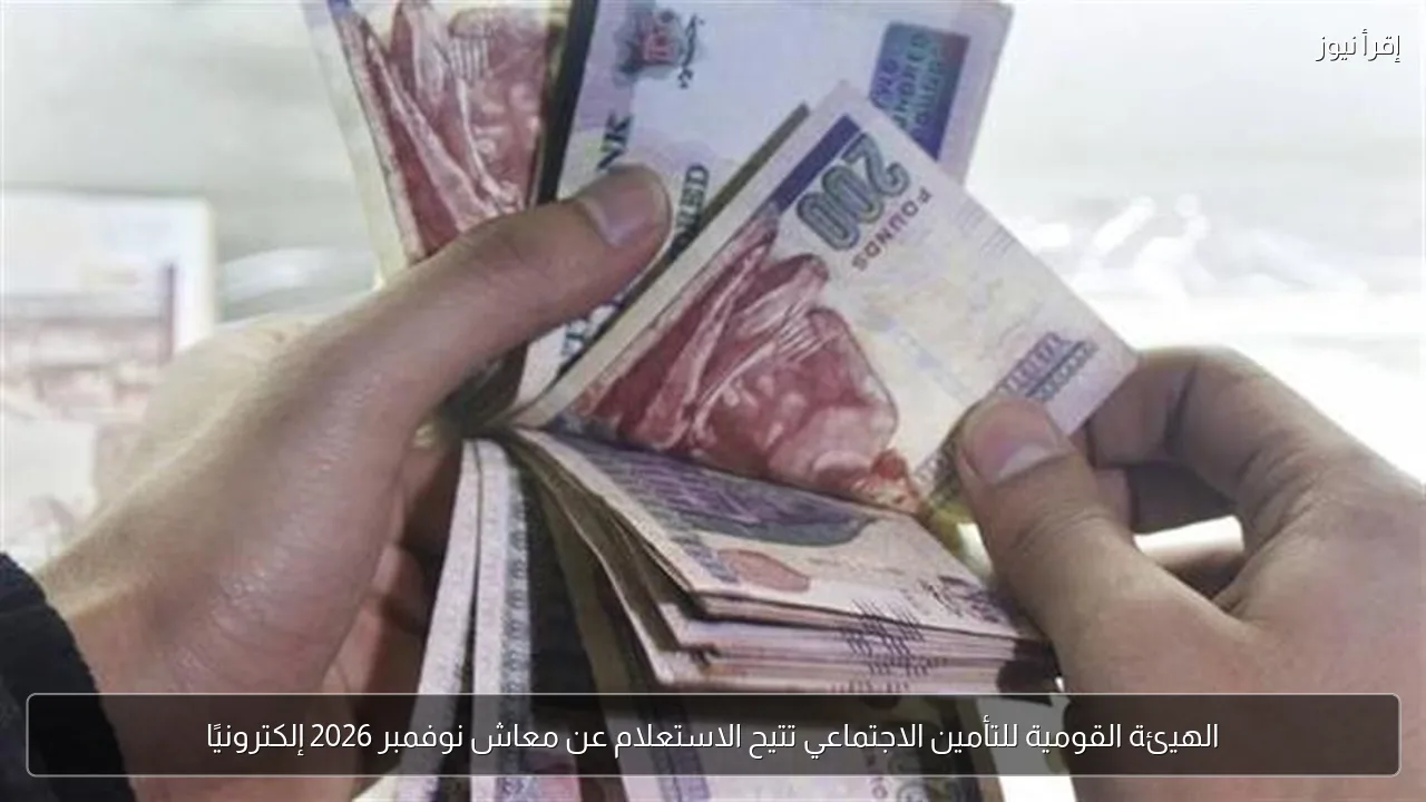 الهيئة القومية للتأمين الاجتماعي تتيح الاستعلام عن معاش نوفمبر 2026 إلكترونيًا