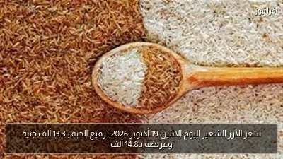 سعر الأرز الشعير اليوم الاثنين 19 أكتوبر 2026.. رفيع الحبة بـ13.3 ألف جنيه وعريضه بـ14.8 ألف