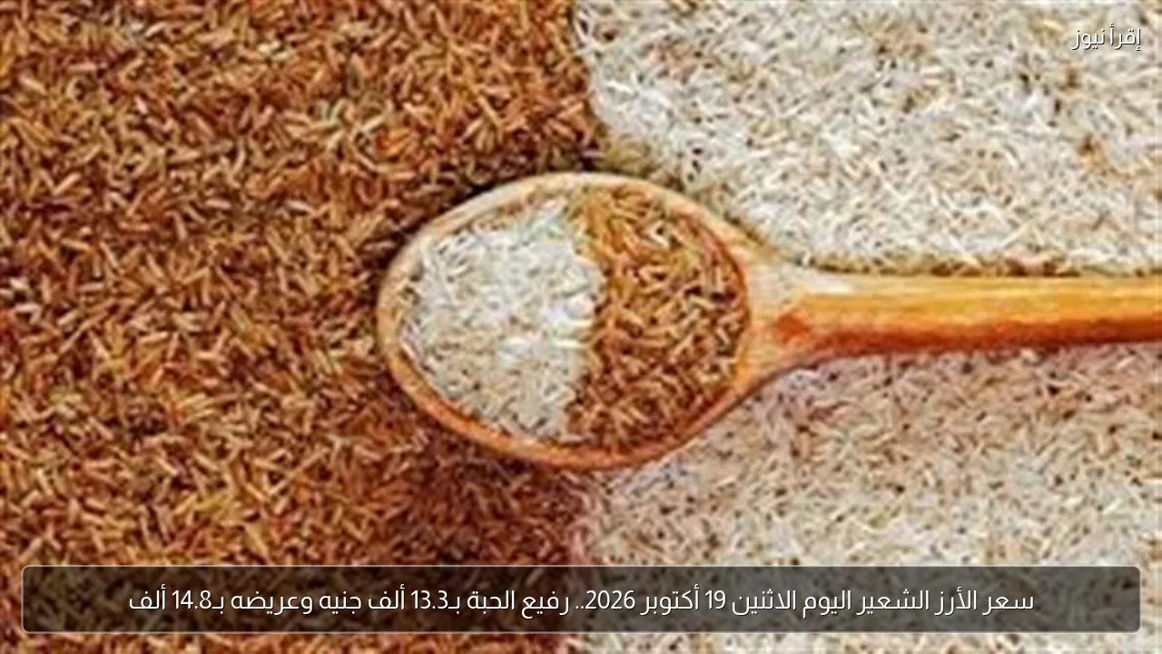 سعر الأرز الشعير اليوم الاثنين 19 أكتوبر 2026.. رفيع الحبة بـ13.3 ألف جنيه وعريضه بـ14.8 ألف
