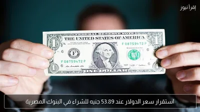 استقرار سعر الدولار عند 53.89 جنيه للشراء في البنوك المصرية