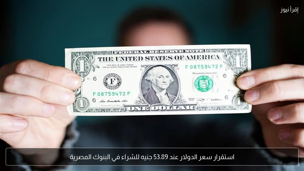 استقرار سعر الدولار عند 53.89 جنيه للشراء في البنوك المصرية