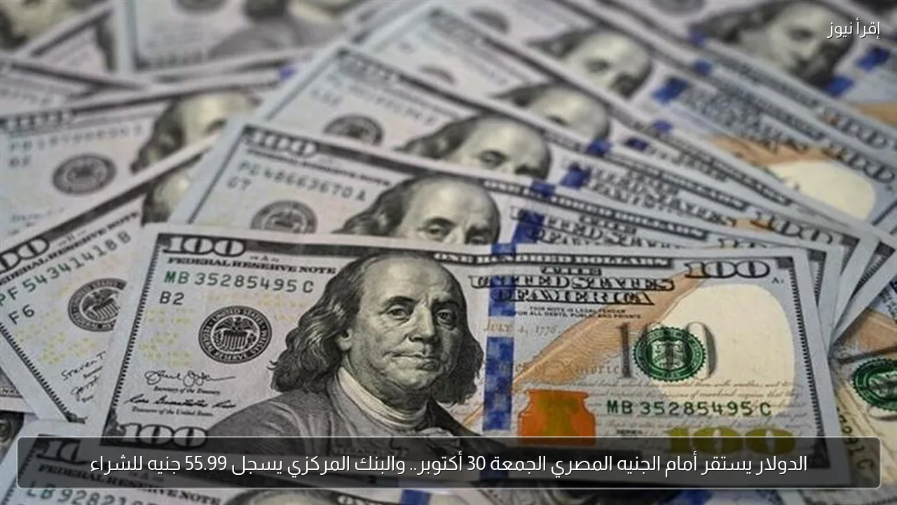 الدولار يستقر أمام الجنيه المصري الجمعة 30 أكتوبر.. والبنك المركزي يسجل 55.99 جنيه للشراء
