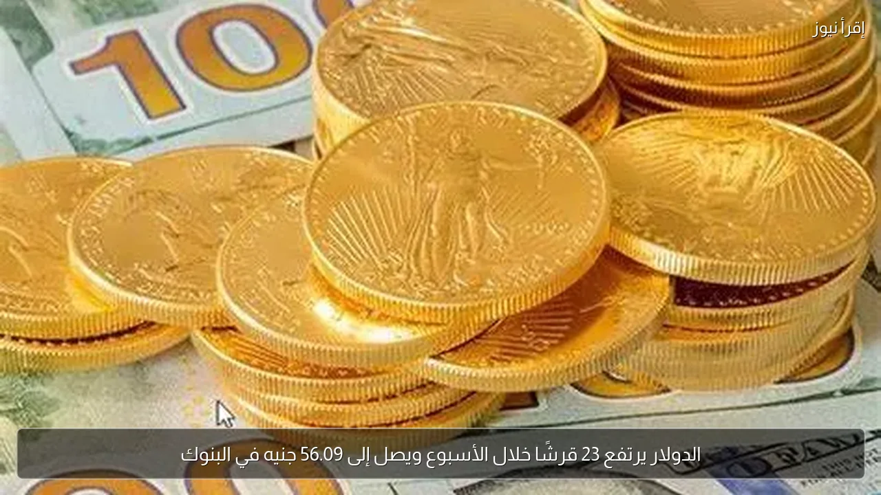 الدولار يرتفع 23 قرشًا خلال الأسبوع ويصل إلى 56.09 جنيه في البنوك