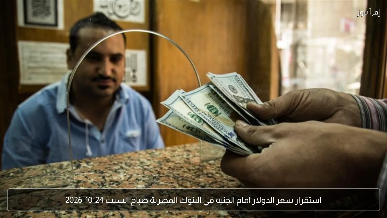 استقرار سعر الدولار أمام الجنيه في البنوك المصرية صباح السبت 24-10-2026