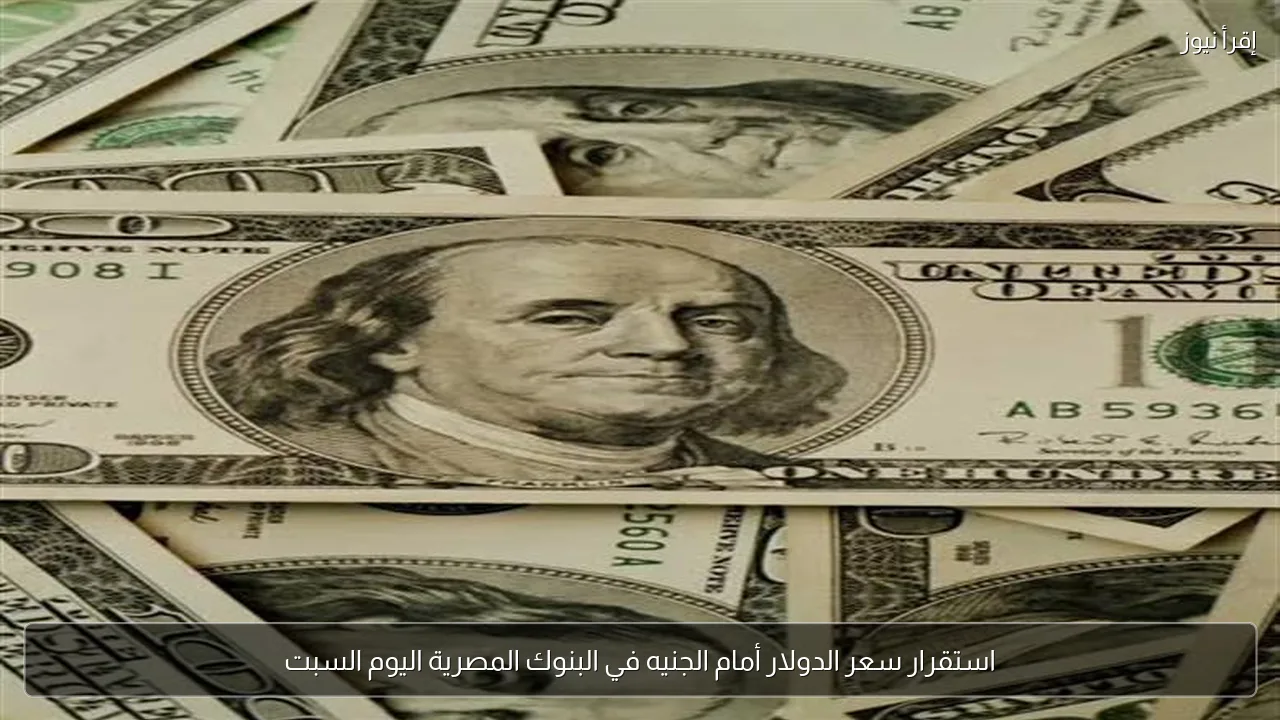 استقرار سعر الدولار أمام الجنيه في البنوك المصرية اليوم السبت