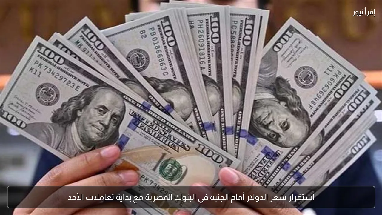 استقرار سعر الدولار أمام الجنيه في البنوك المصرية مع بداية تعاملات الأحد
