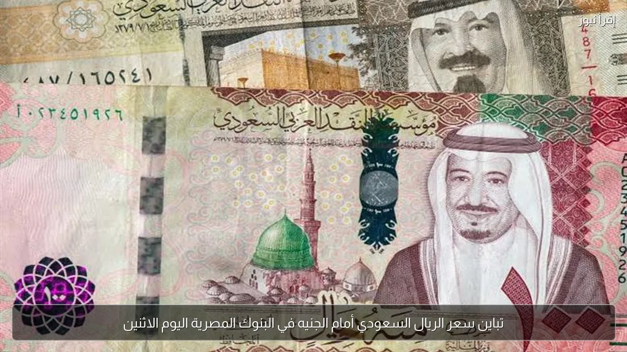تباين سعر الريال السعودي أمام الجنيه في البنوك المصرية اليوم الاثنين