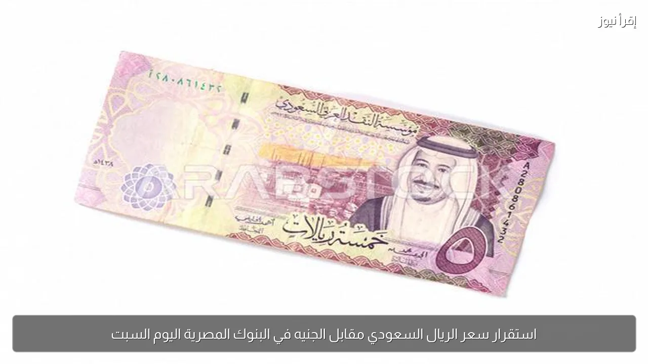 استقرار سعر الريال السعودي مقابل الجنيه في البنوك المصرية اليوم السبت