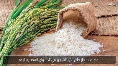 تفاوت أسعار طن الأرز الشعير في الأسواق المصرية اليوم